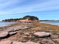 Adventure out to the point from Sally’s at low tide.