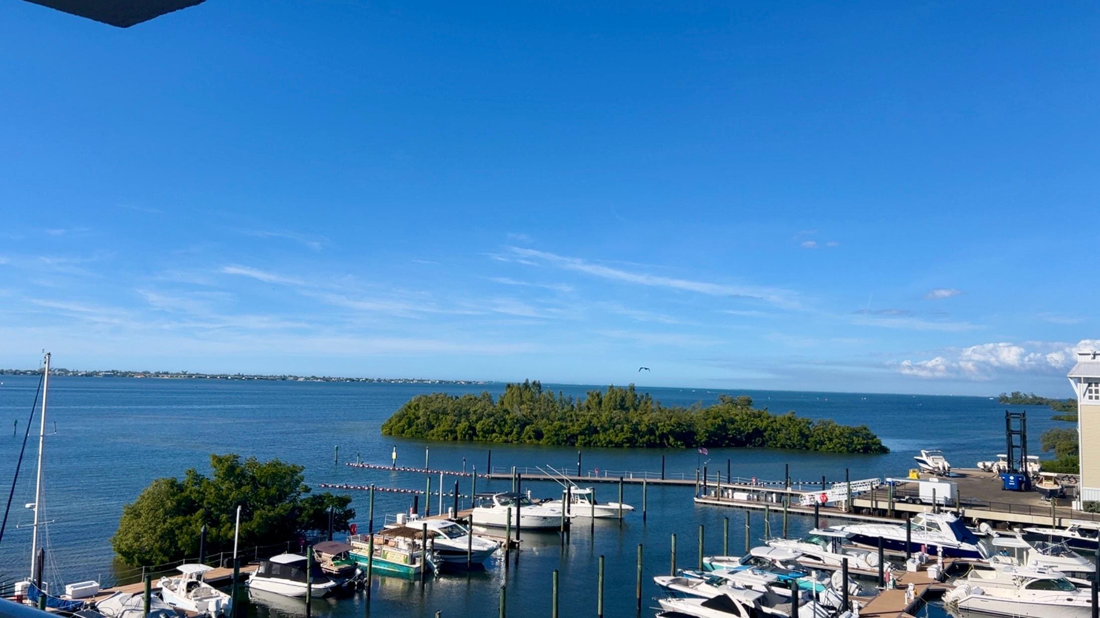 This was the view from our room, just gorgeous & there were manatees & dolphins outside we could see! 