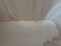 Mold on curtains