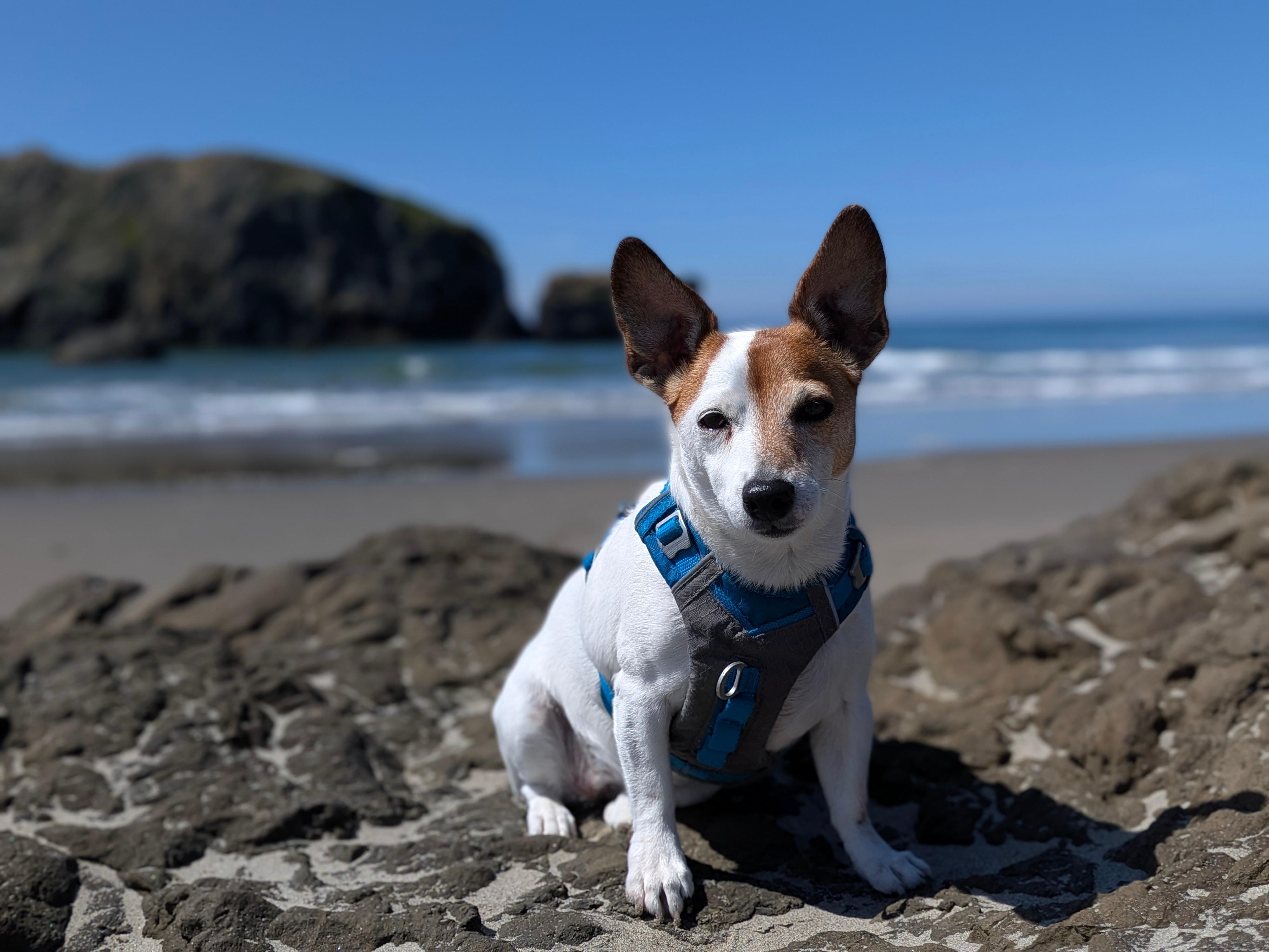 Rozzie living her best life!