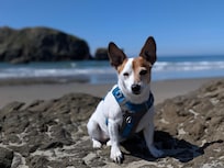 Rozzie living her best life!