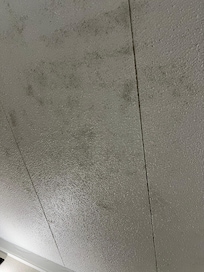 Ceiling