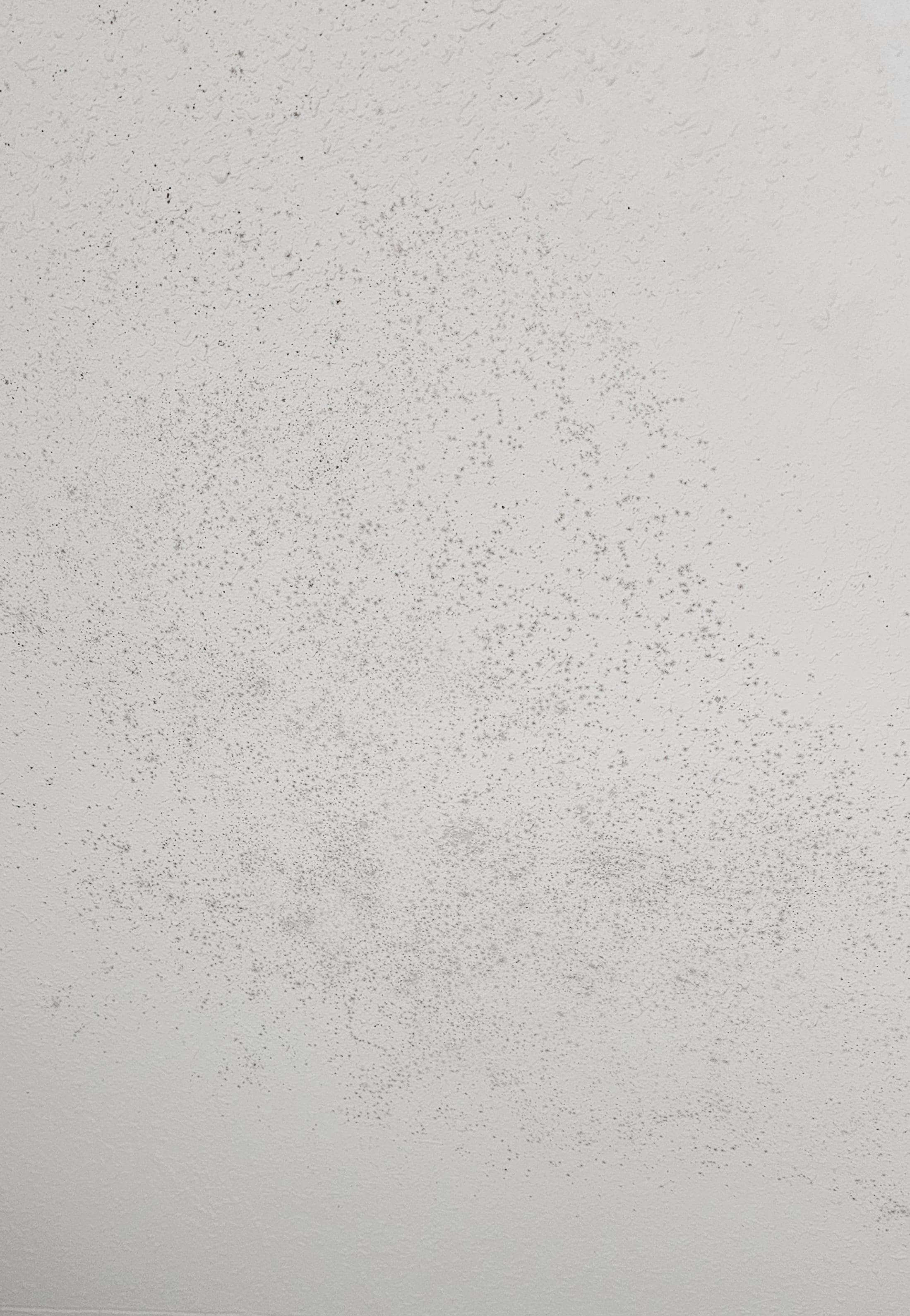 Mould in bathroom ceiling.