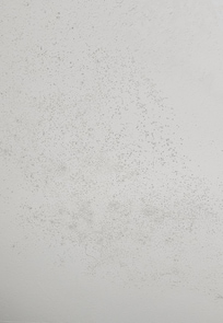 Mould in bathroom ceiling.