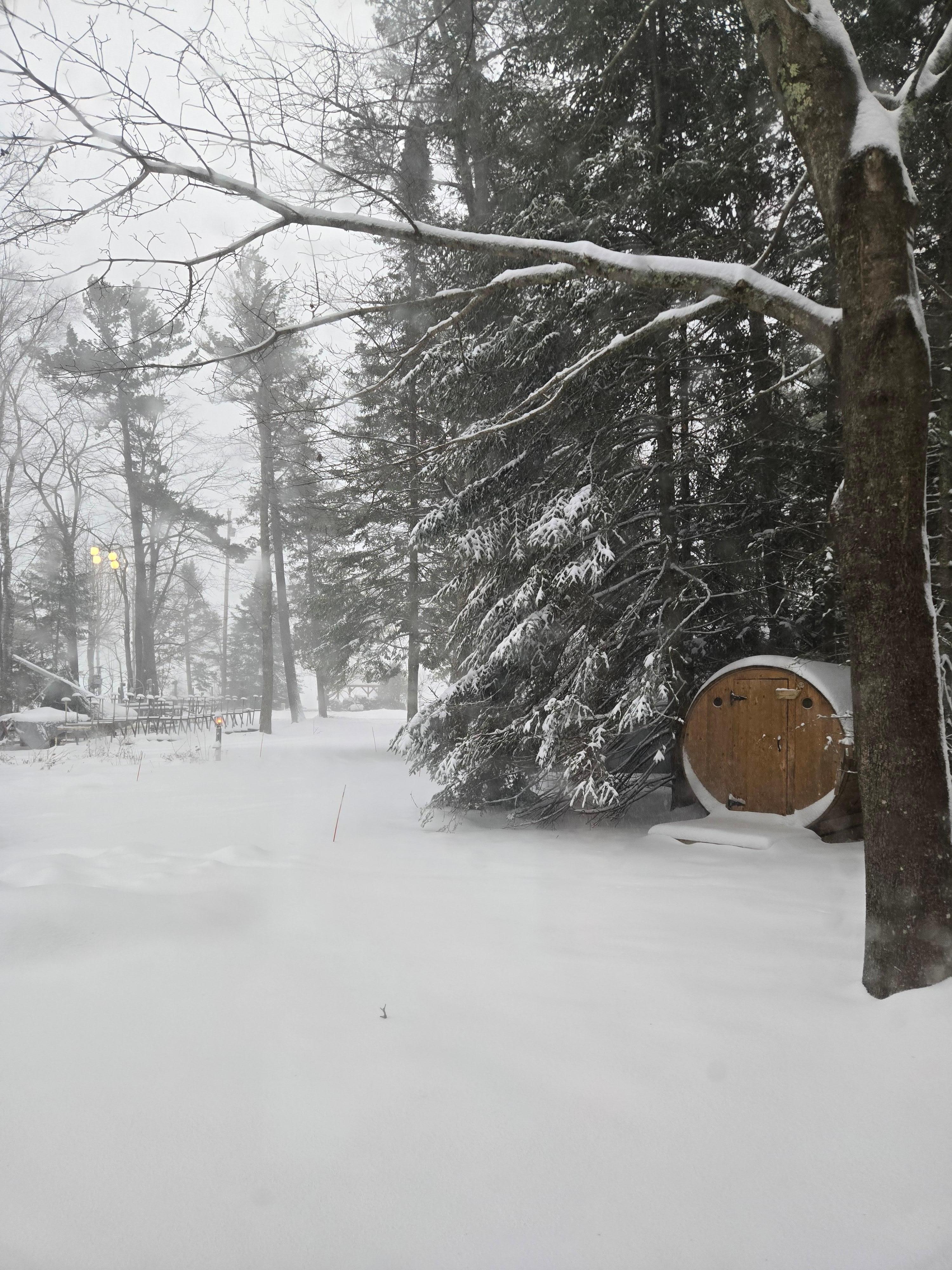 View from living room window in a blizzard. 
So cozy! 