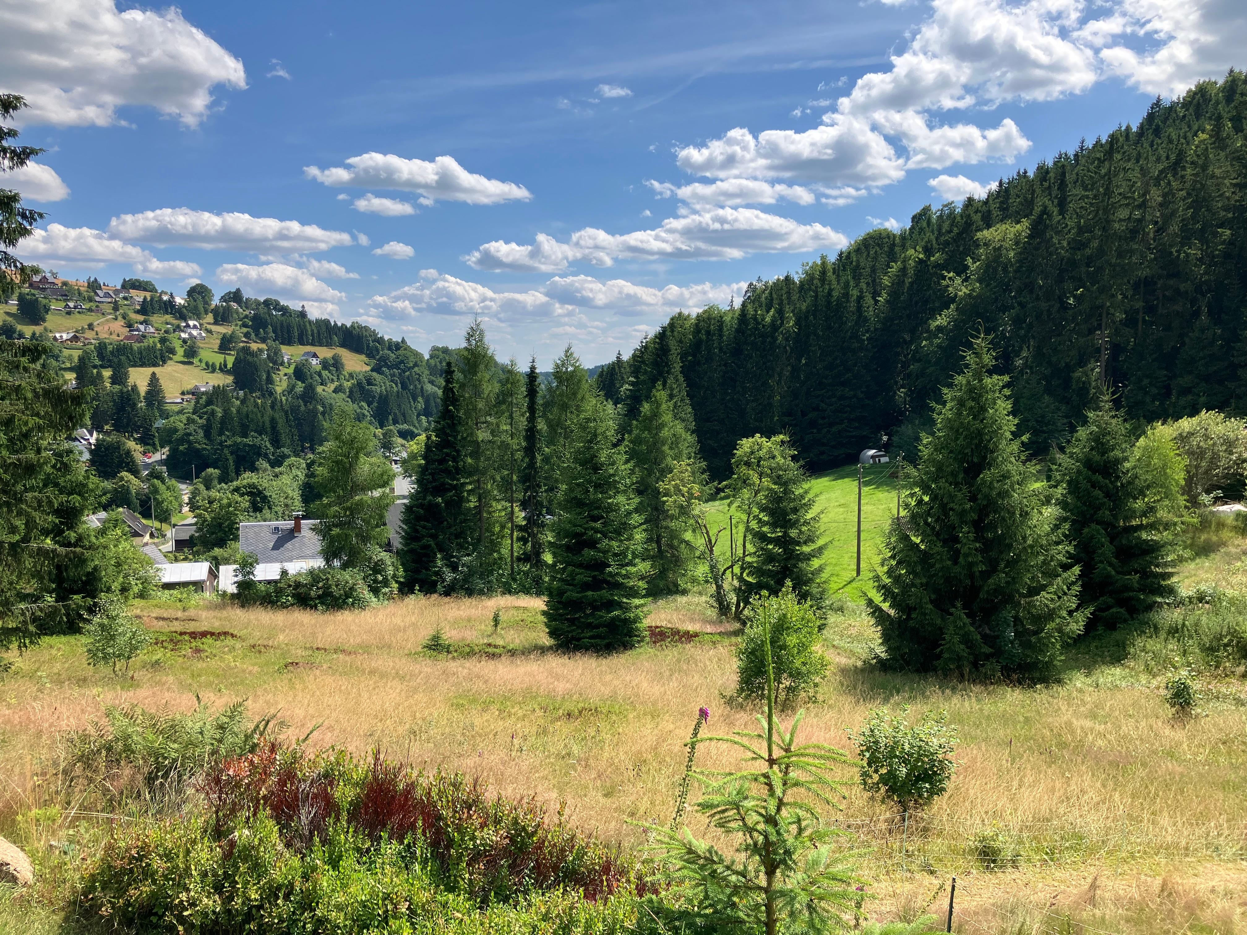 Blick vom Haus ins Tal