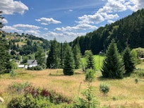 Blick vom Haus ins Tal