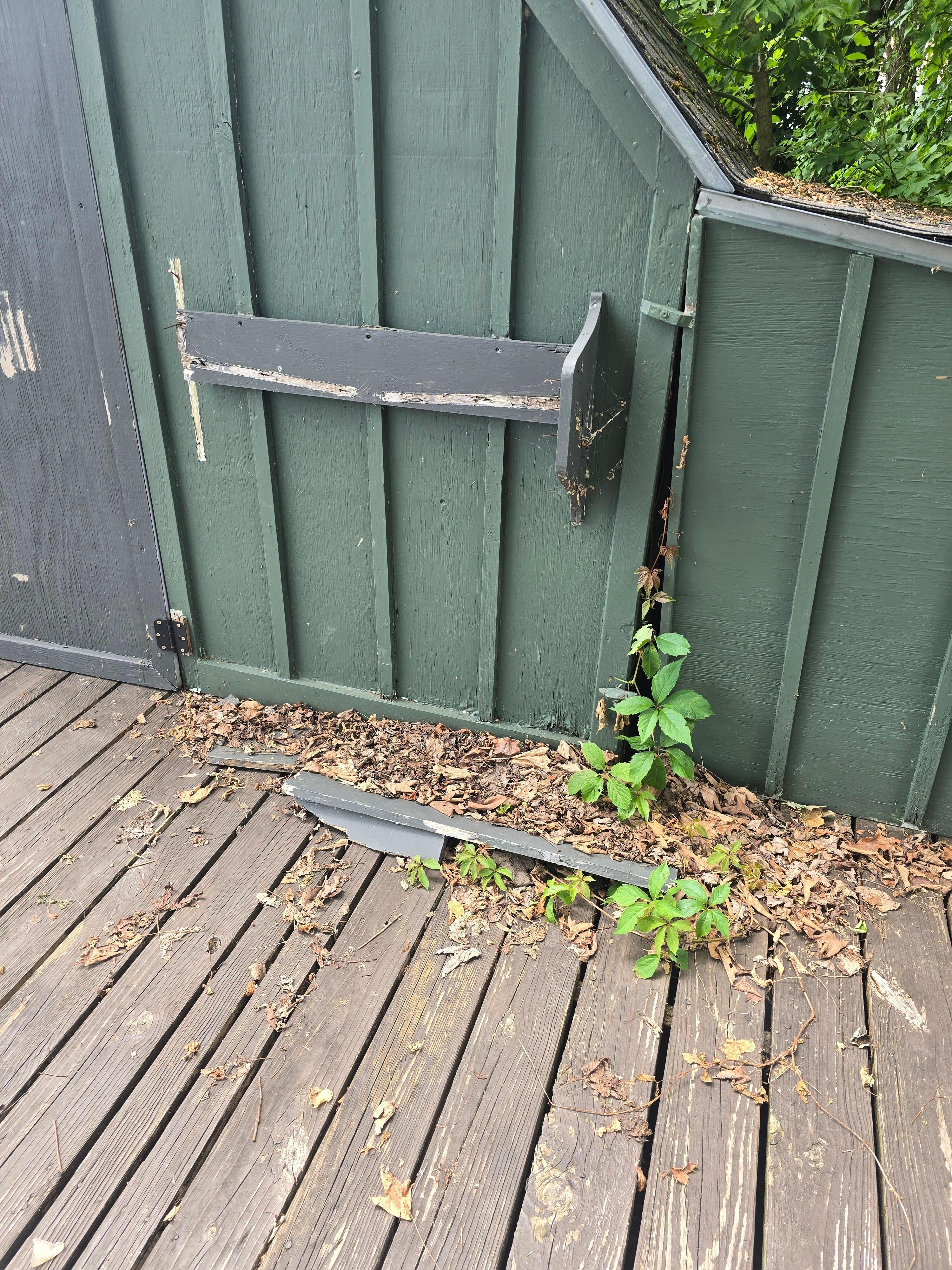 Boards and leaves have been here since fall... it's July.
