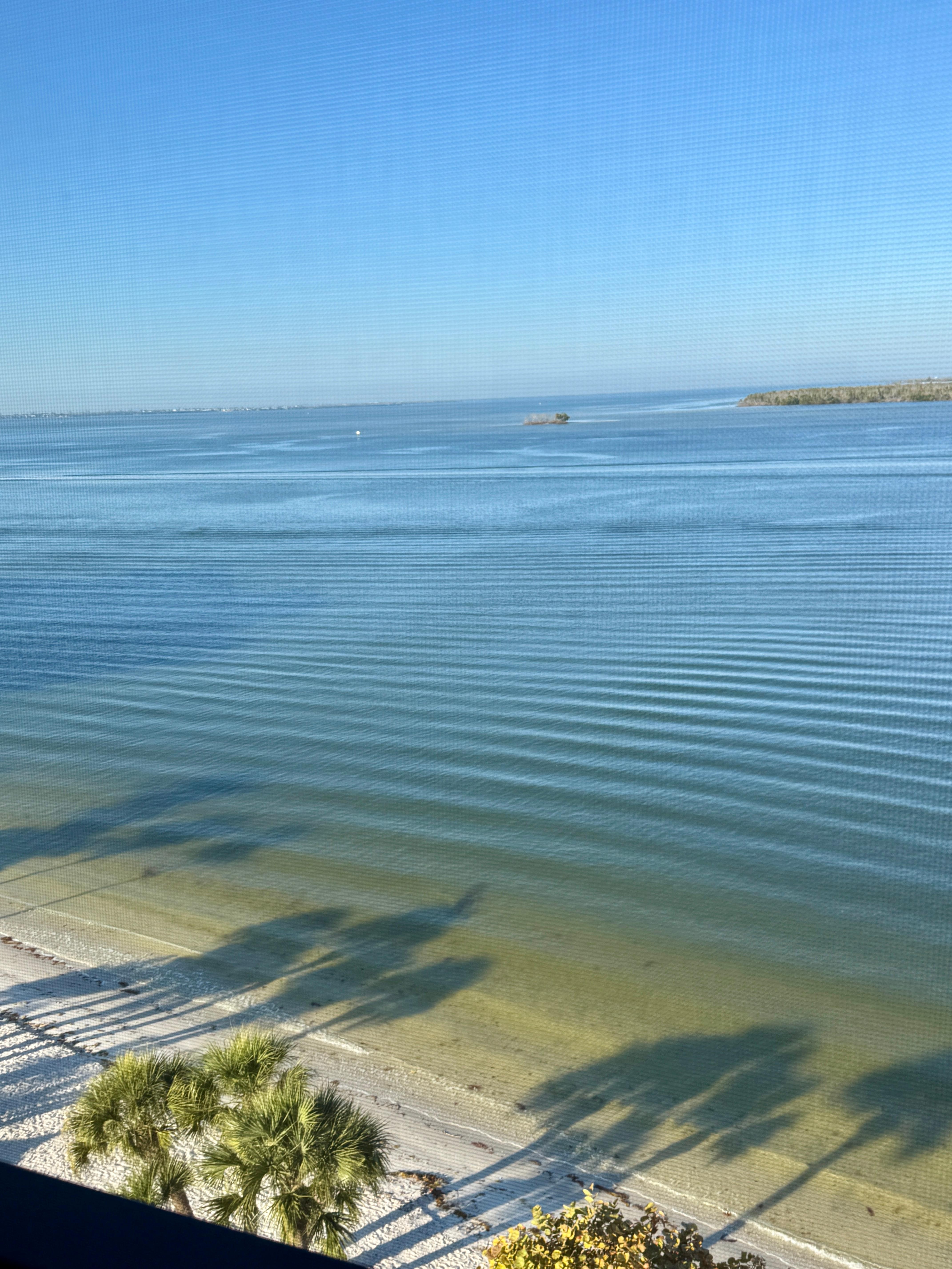 View from our balcony!