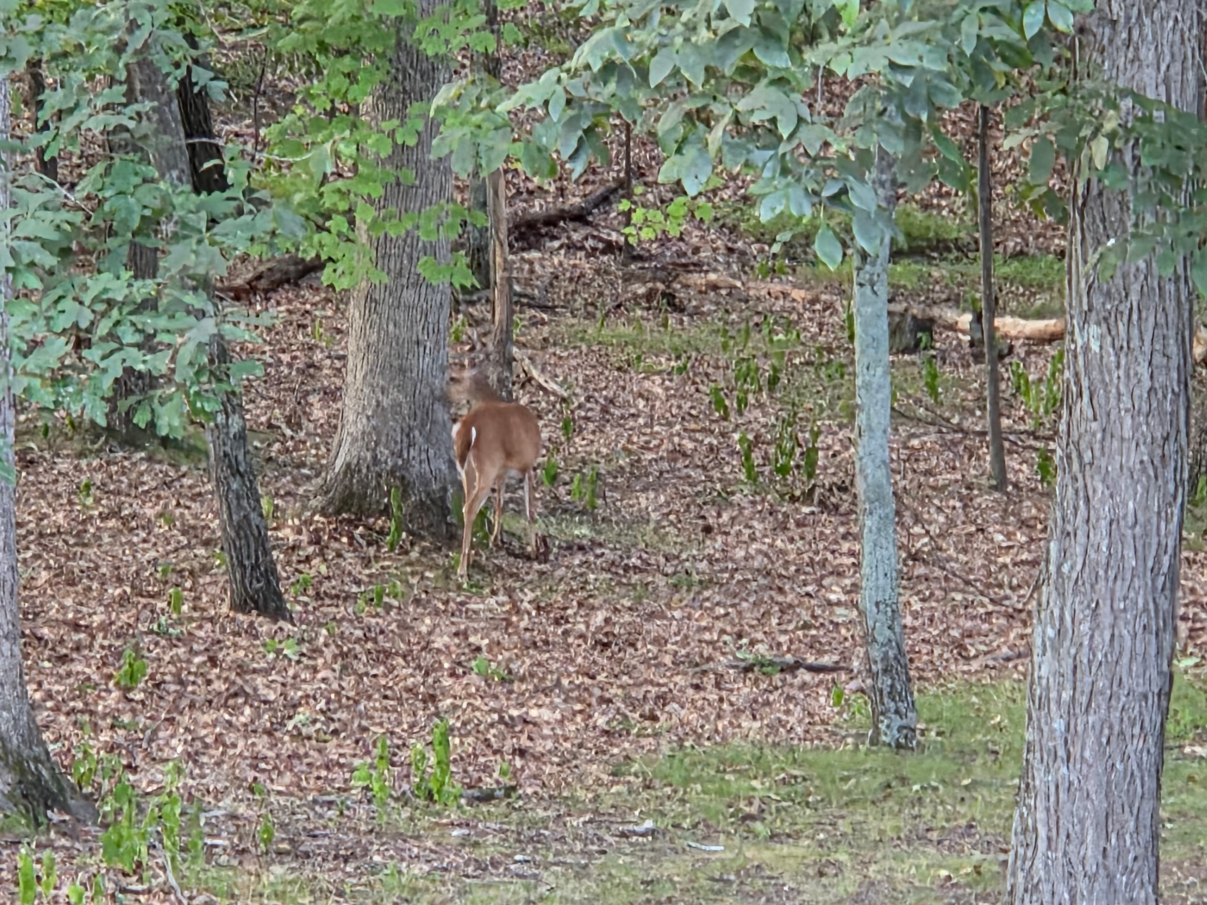 Sitting on back deck