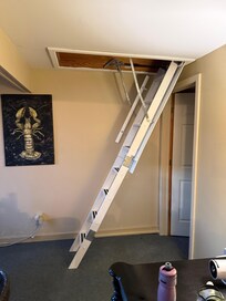Ladder