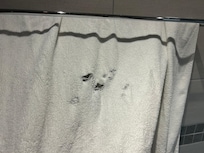 Toallas rotas y sucias.