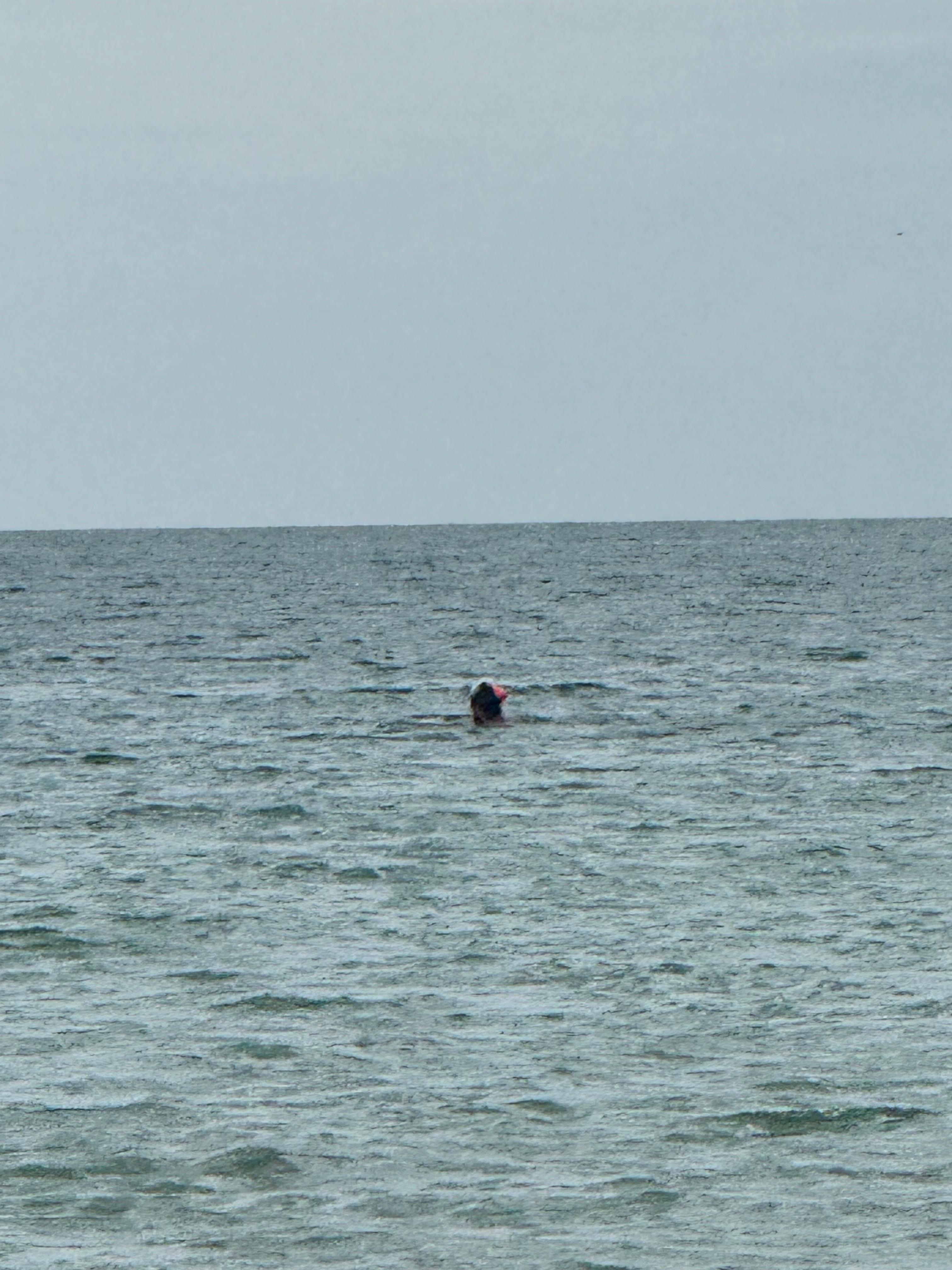 Almost forgot to add that as we walked out to the beach from the condo, we were greeted with at least 20 dolphins iright in front. They gave a show for at least an hour. Moms and babies swimming around and jumping out of the water. Very cool.