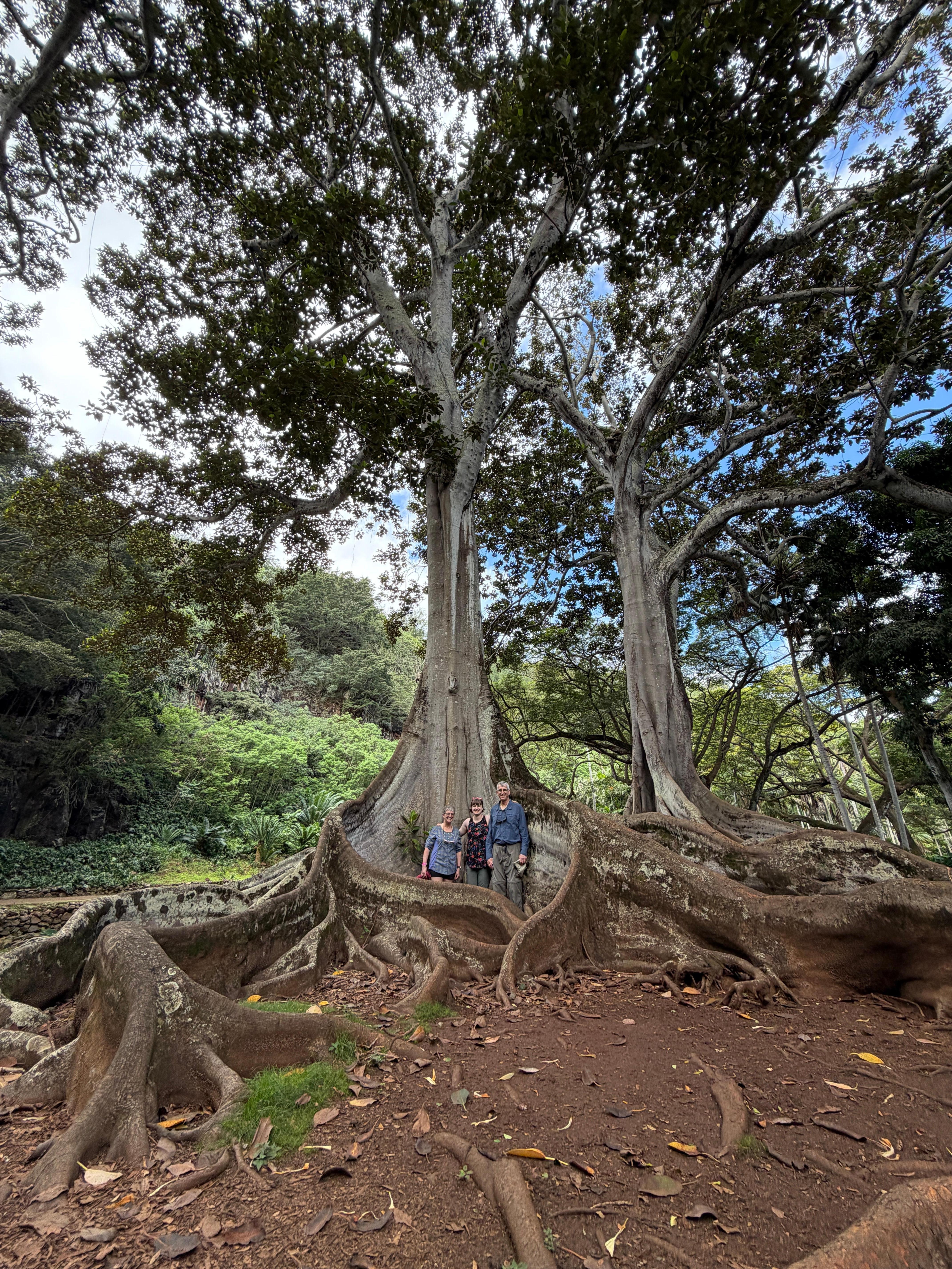 Allerton botanical gardens