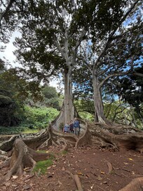 Allerton botanical gardens