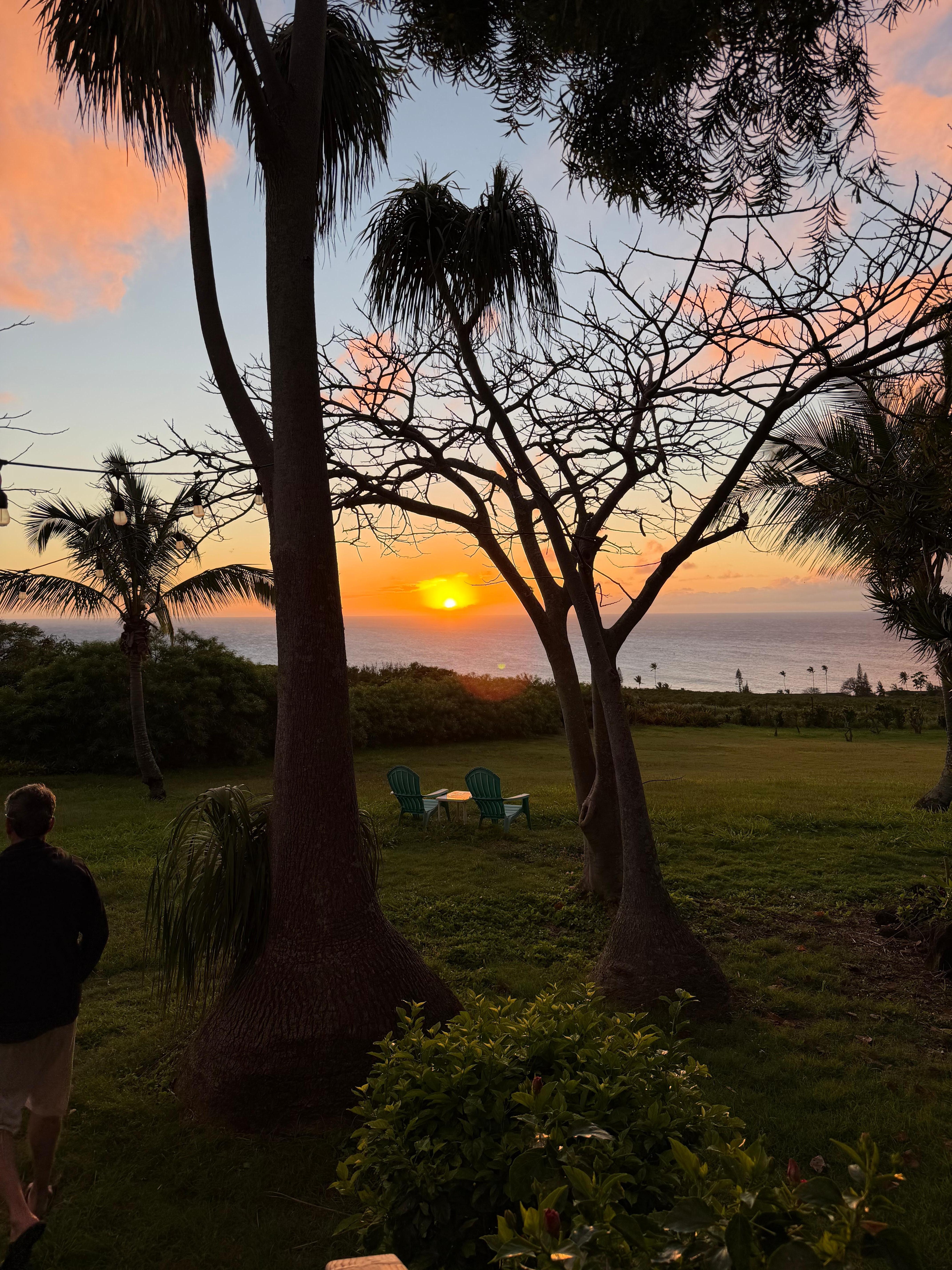 Backyard sunset view