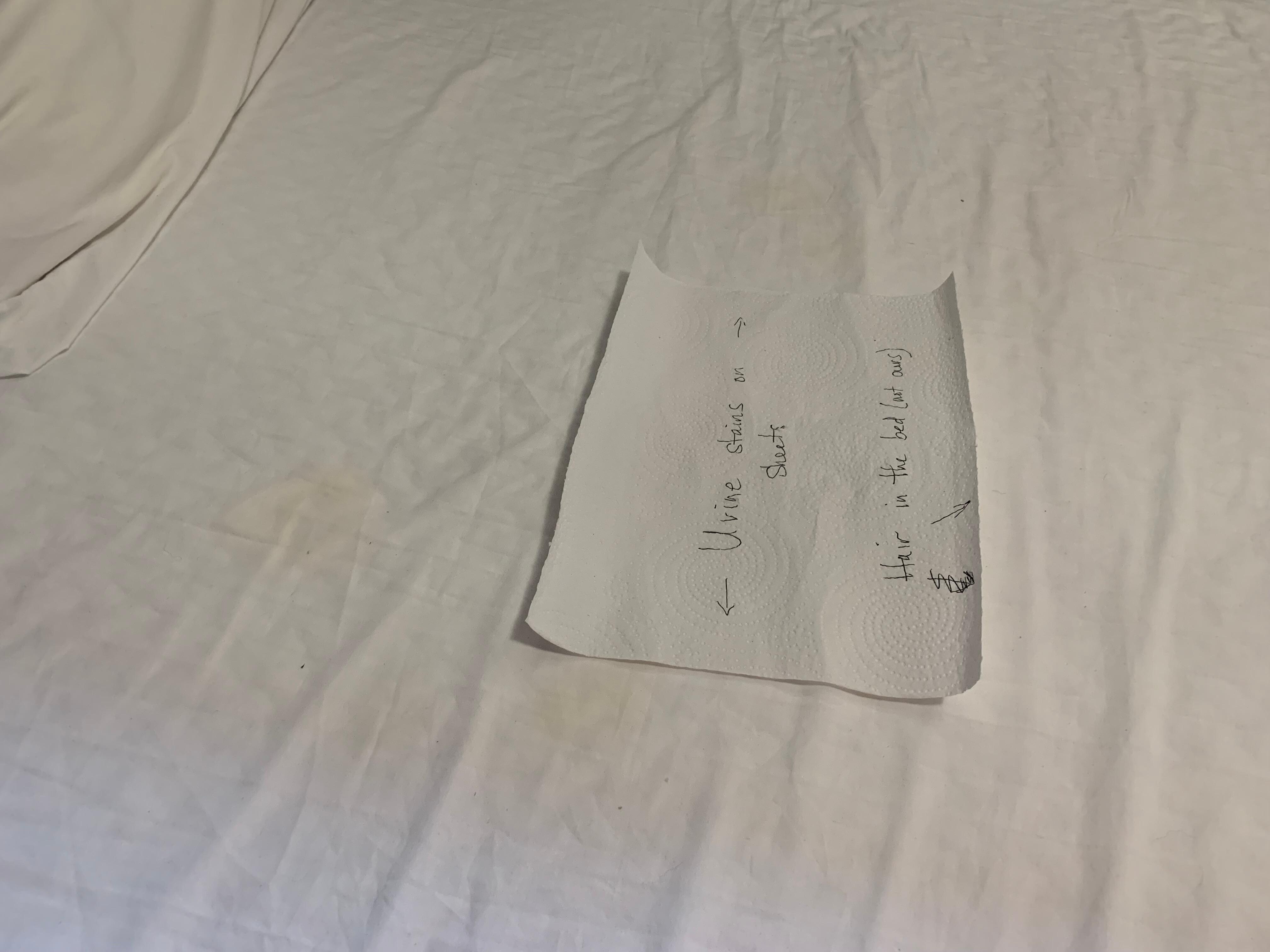 Urine stains on sheets