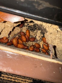 This is what we found in base by refrigerator when we moved slightly back to stop the humming noise due to unlevel base.