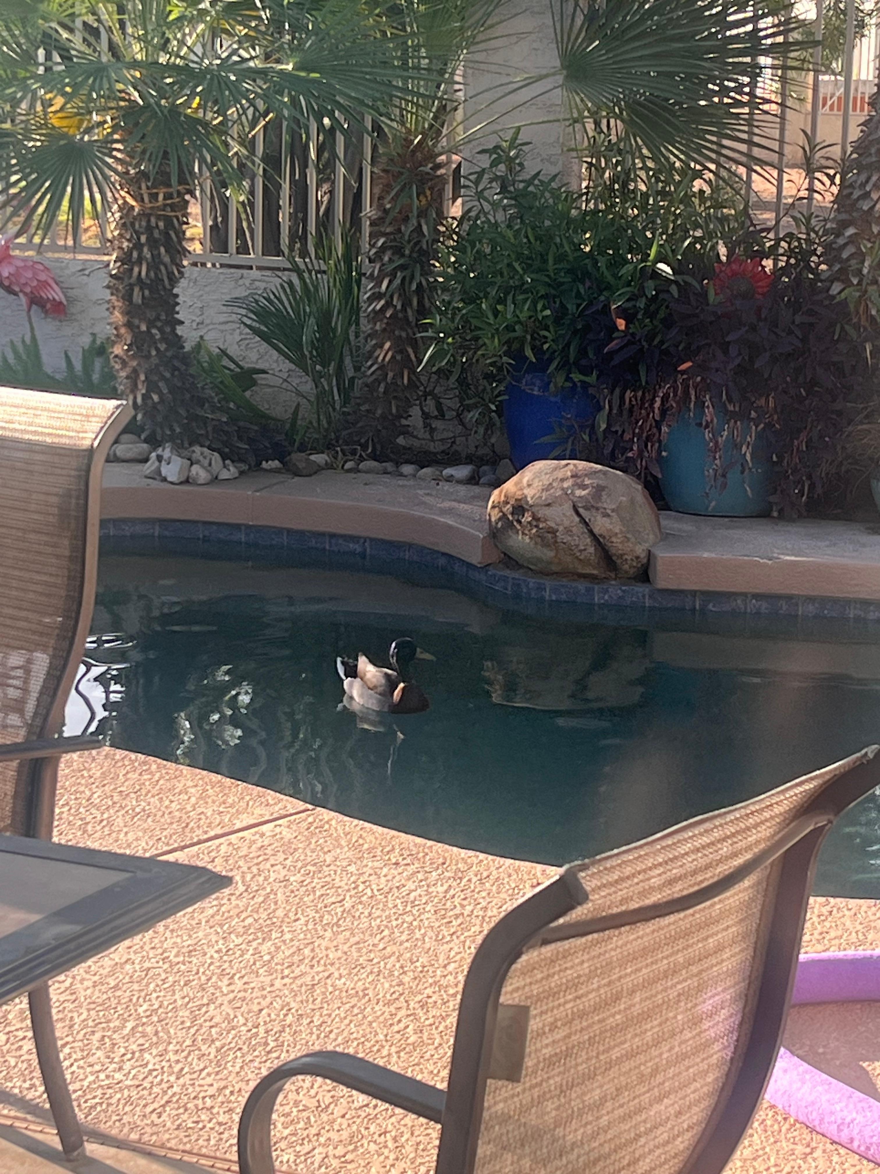 Had a little visitor on the last day 