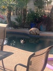 Had a little visitor on the last day