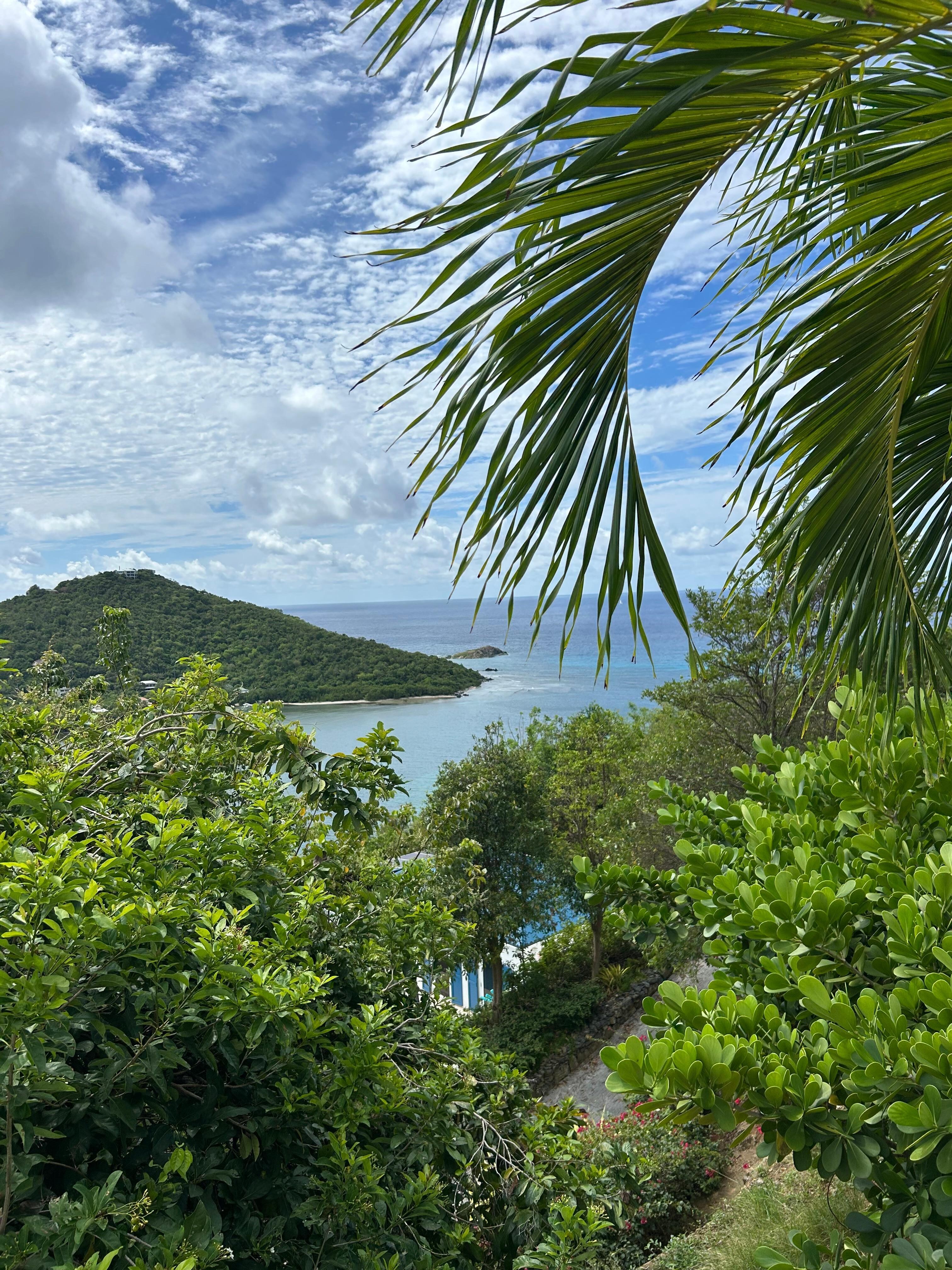 More from the porch!