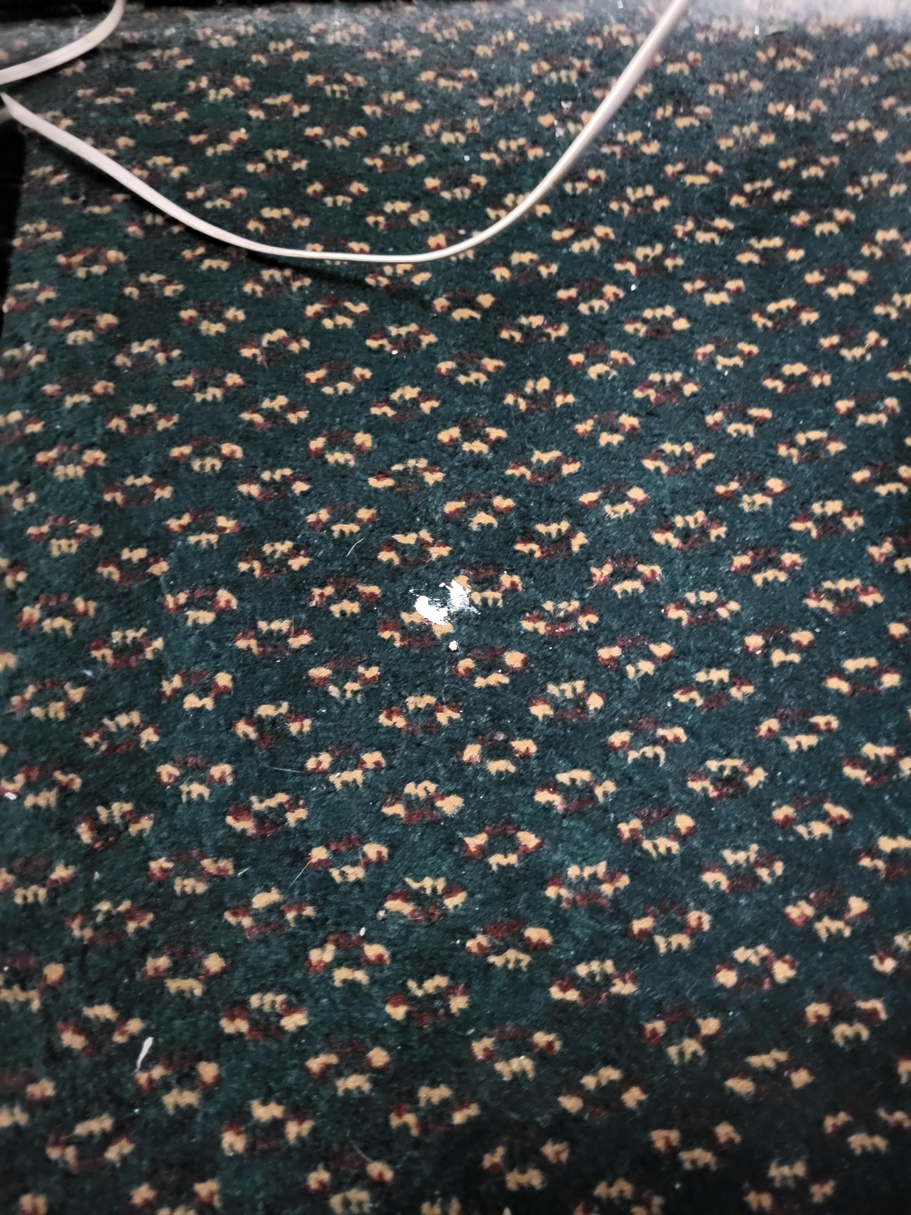 Paint  on the  carpet 