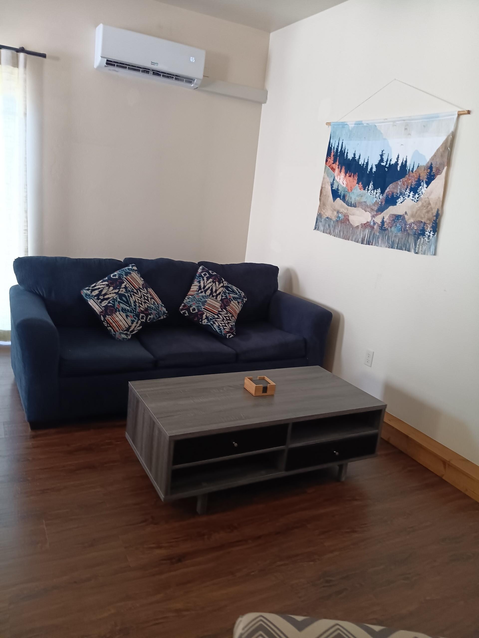 Cozy living space with sofa bed.