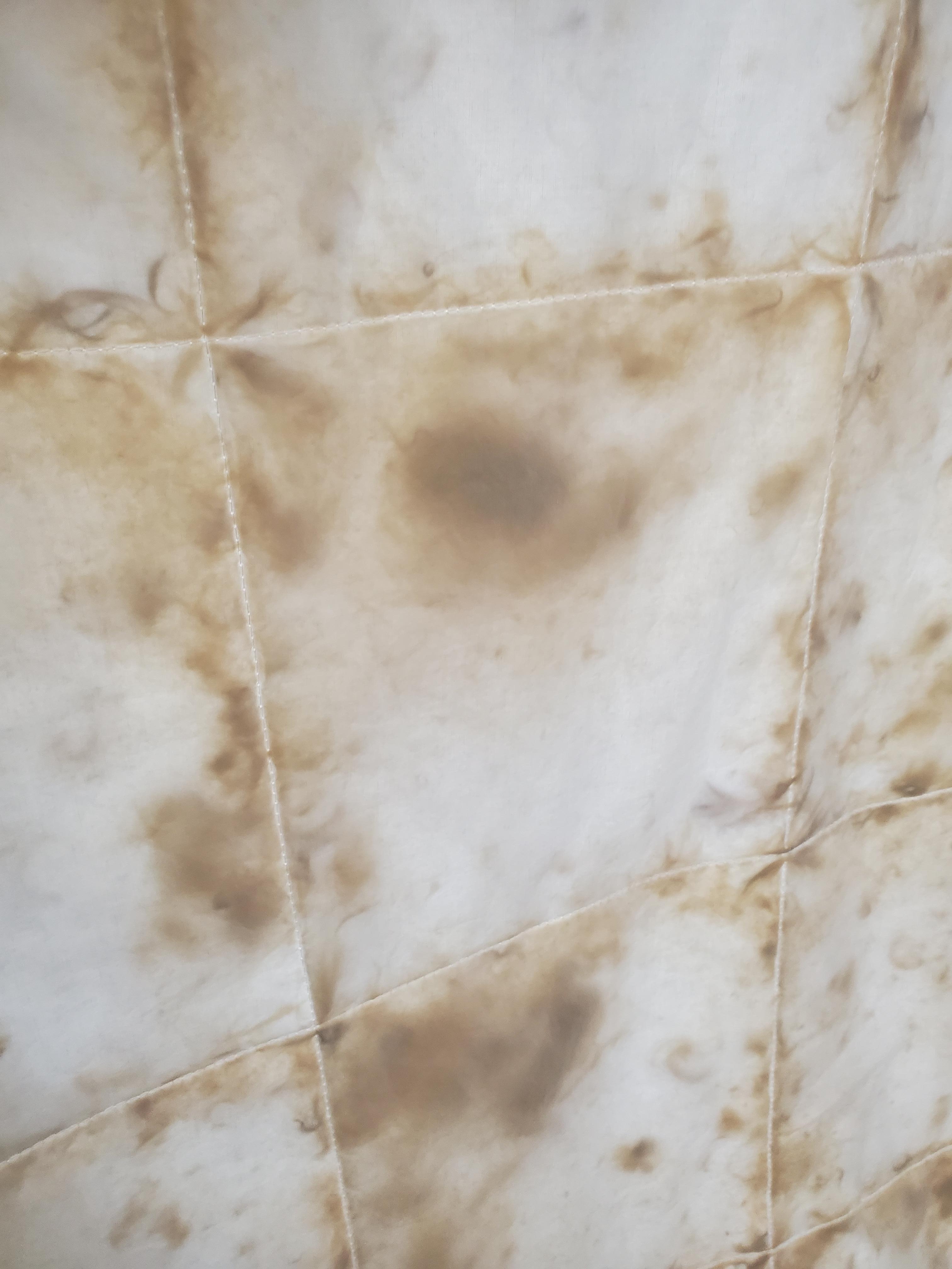 The comforter on the bed. There were sheets in the closet but they look like they had been used.