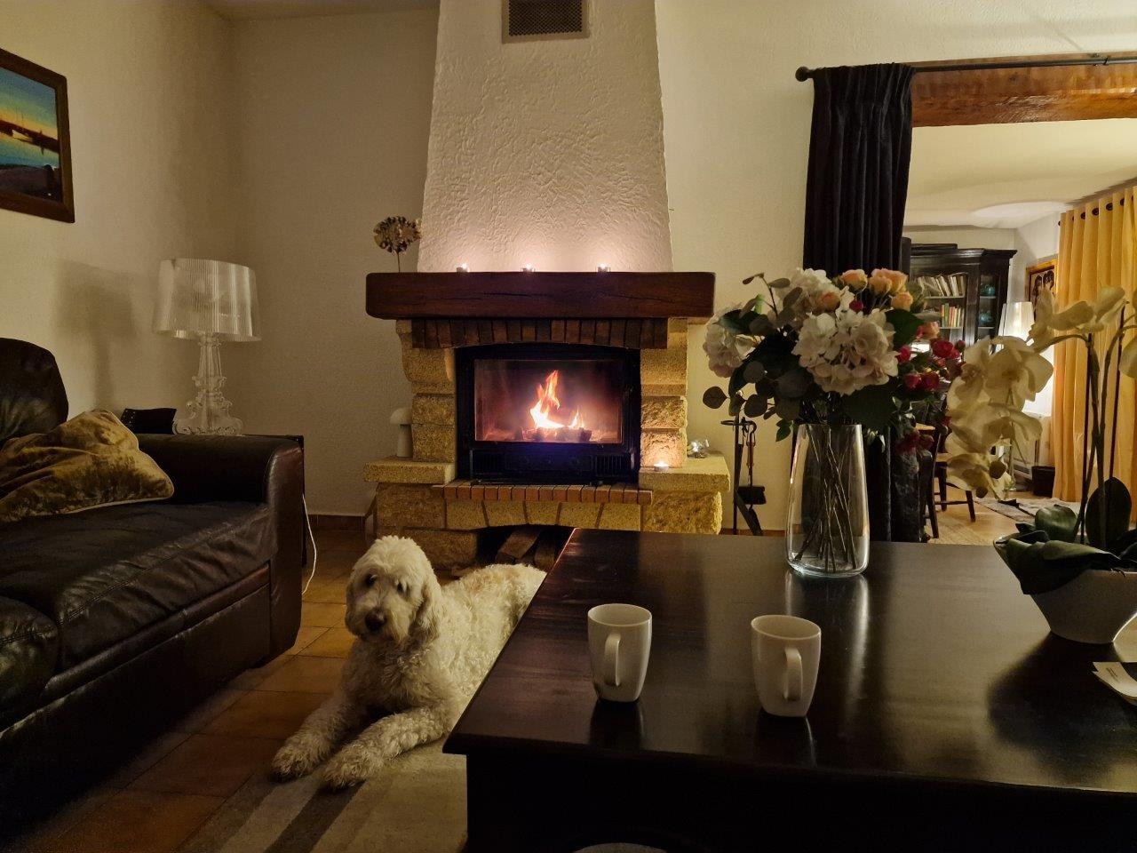The fireplace created a warm and comfortable atmosphere