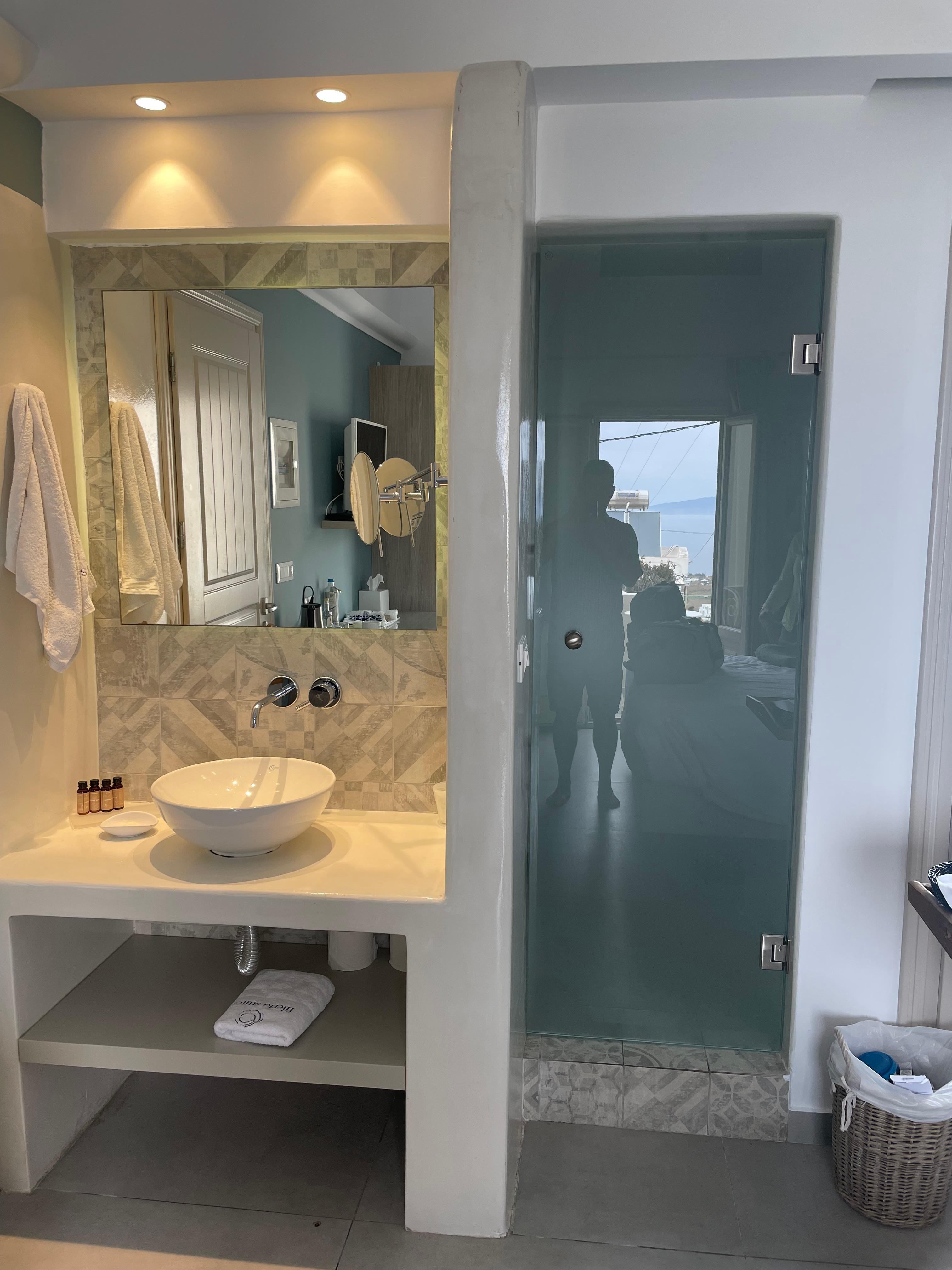 Opaque glass door to toilet & shower; sink in bedroom.