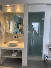 Opaque glass door to toilet & shower; sink in bedroom.
