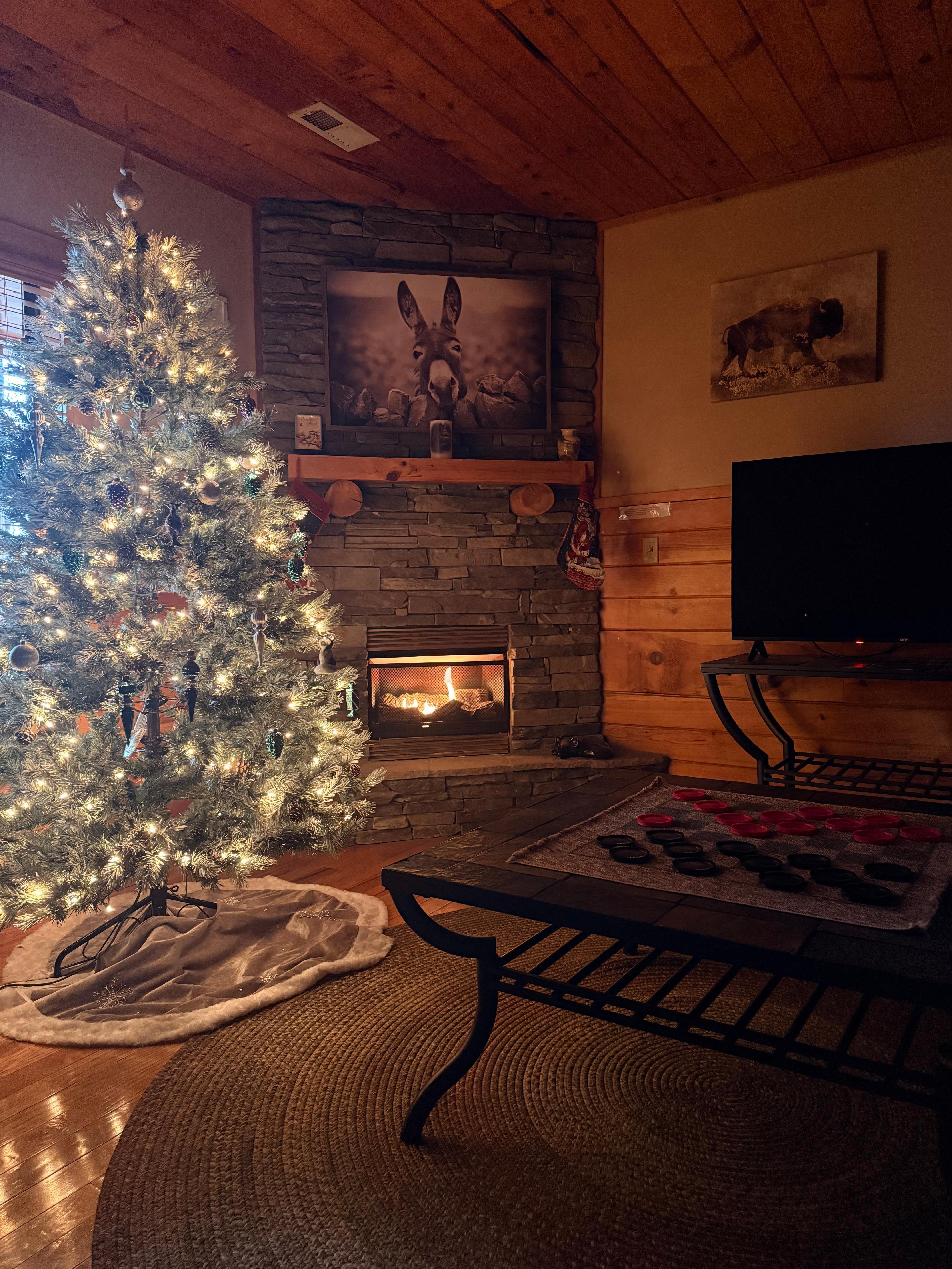 The downstairs den was perfect for reading or movie night