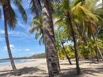 The beach is perfect for shade under a palm or full sun! Great to swim!!!