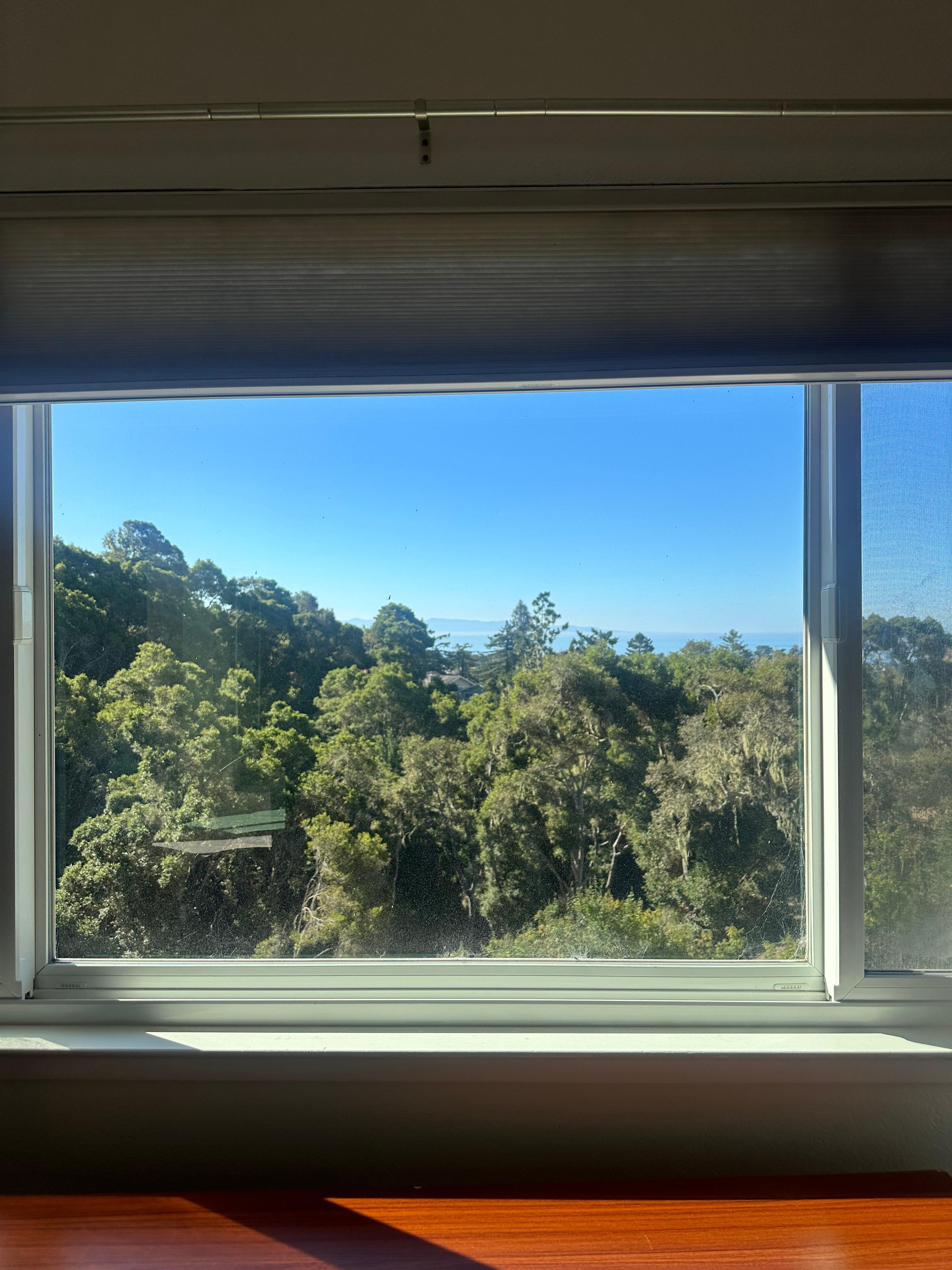 View from main bedroom 