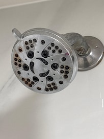 Shower head filthy