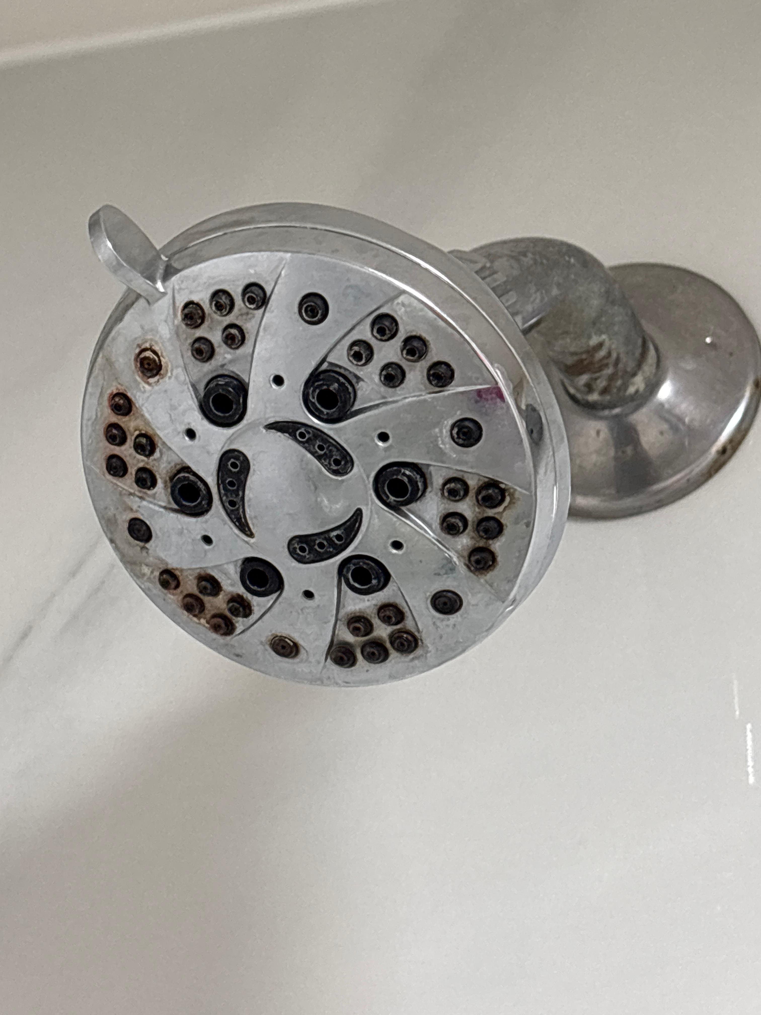Shower head filthy