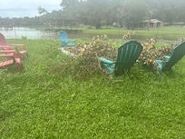 Overgrown yard, unable to use the firepit