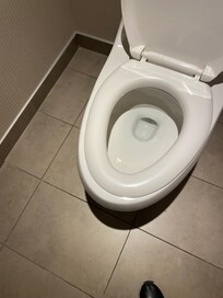 Toilet seat that does not fit