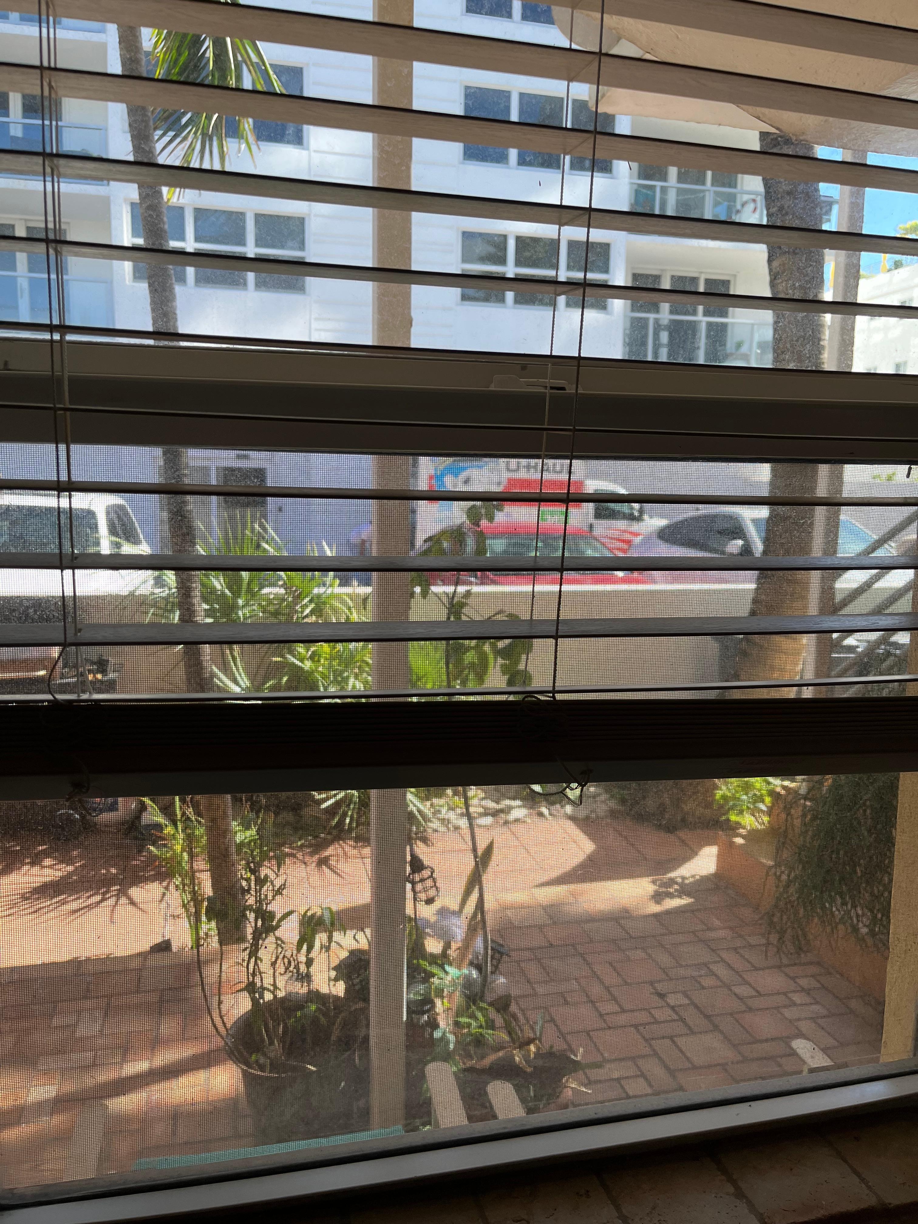 view from the only window in the living room