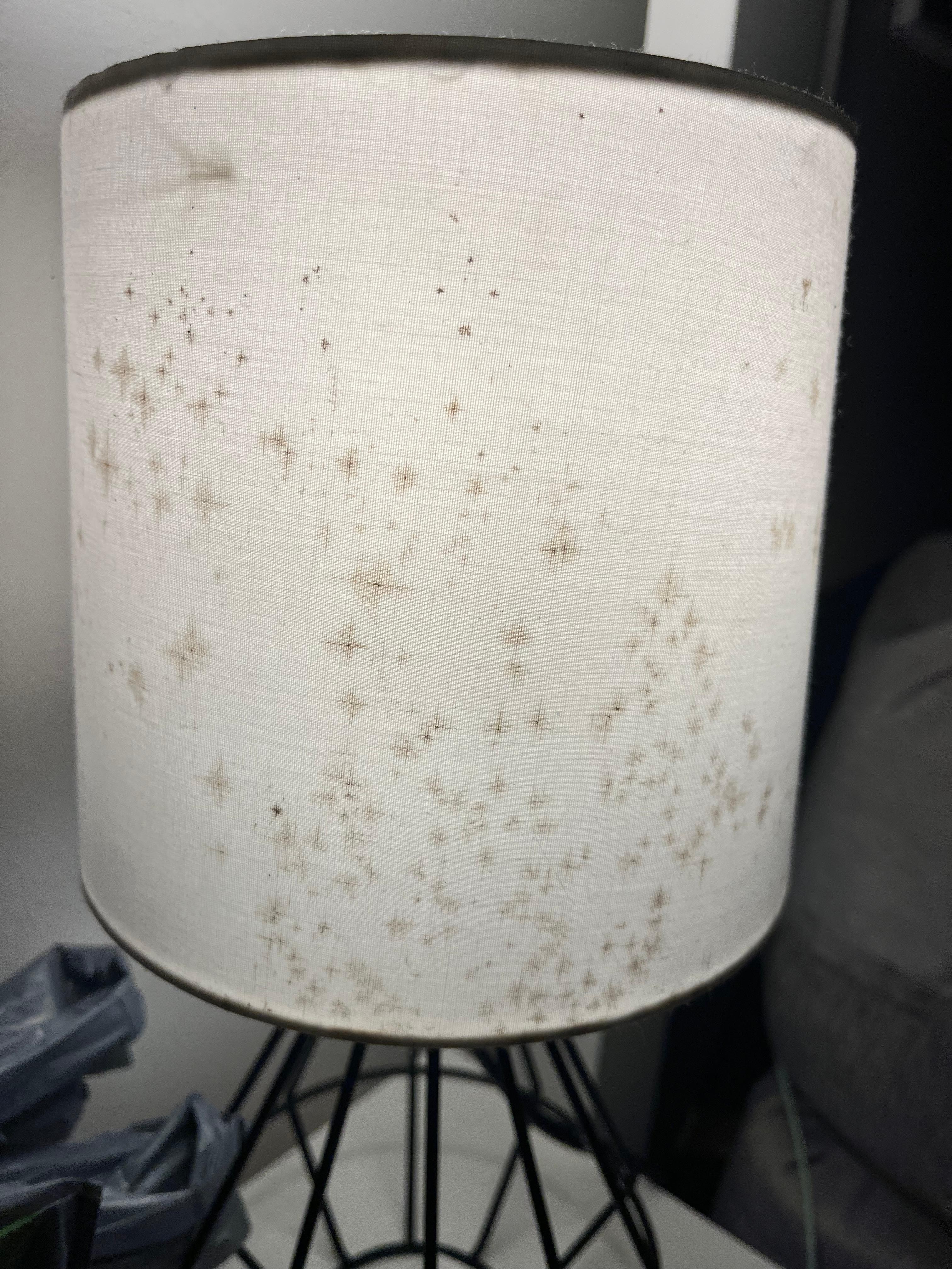 Mottled lampshade