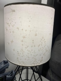 Mottled lampshade