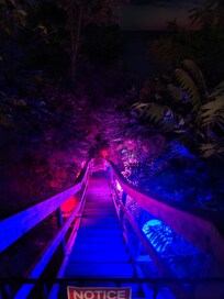 Fabulous lights at night on the stairs down to the beach.