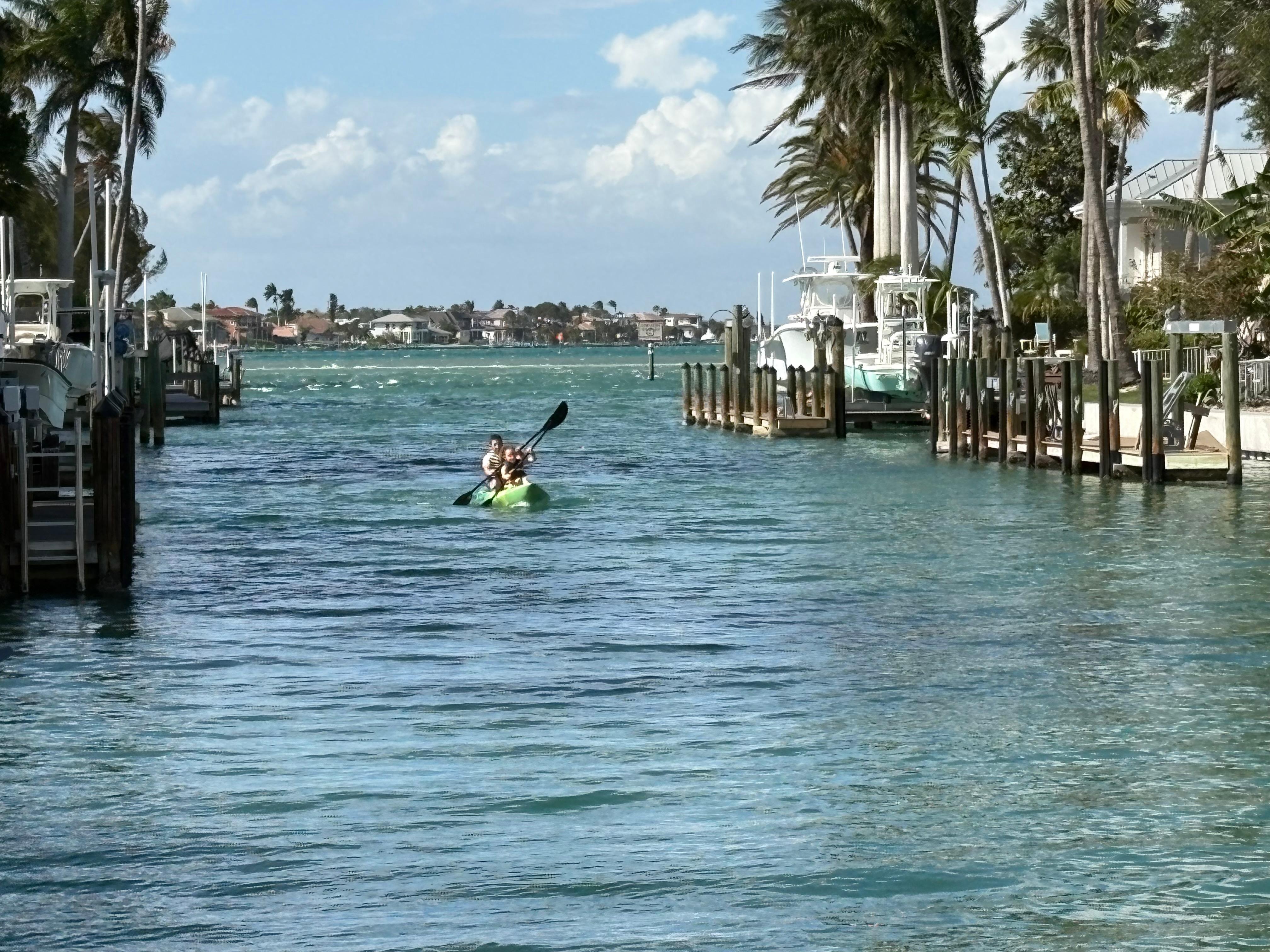 Kayaking off the dock, we saw dolphins several times 