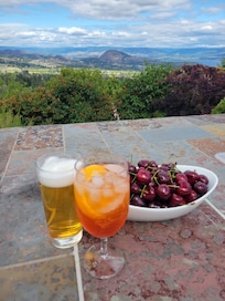 View from the patio