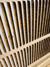 Disgusting air vent