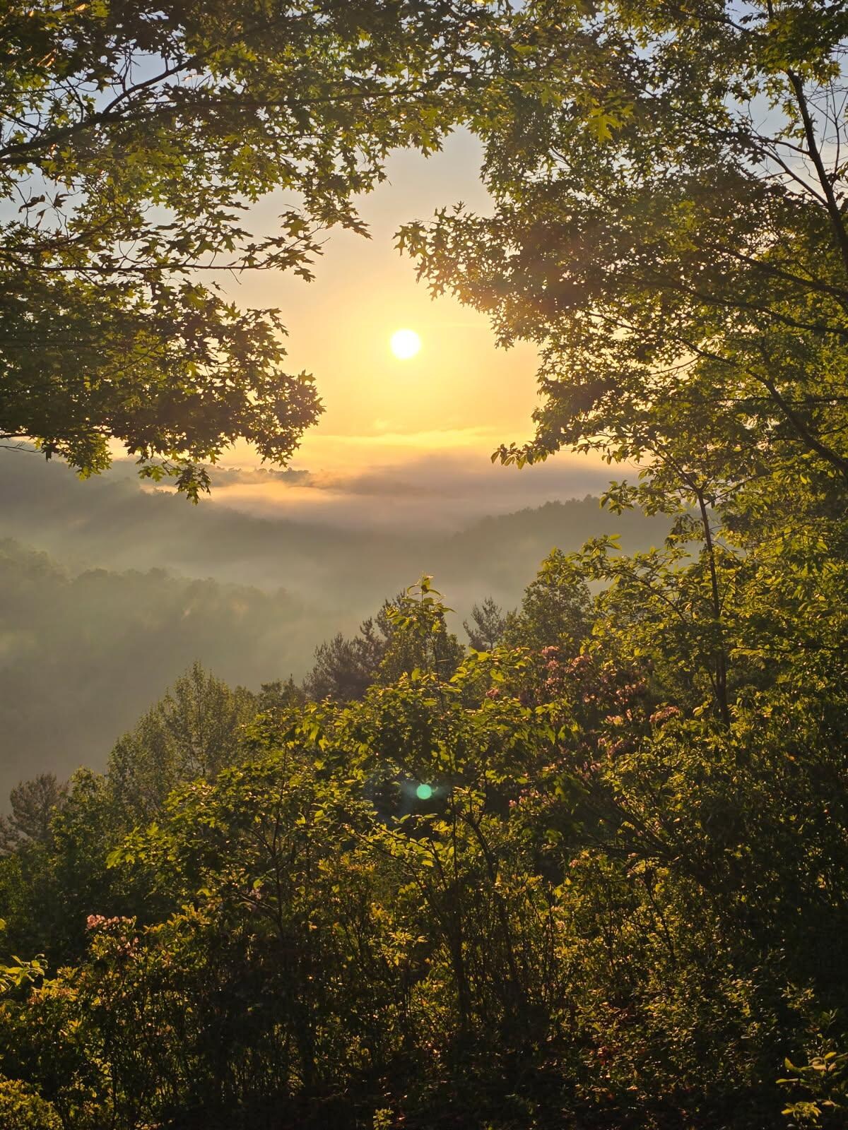 Sunrise @ Placid View