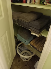 Bathroom closet supplies.