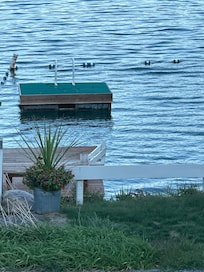 Swimming area