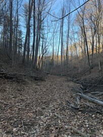 The path behind the house