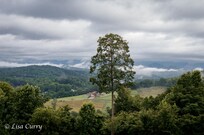 The view from the front porch on a gloomy day...still quite beautiful!